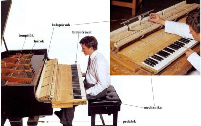 Milyen részekből áll a zongoratest?